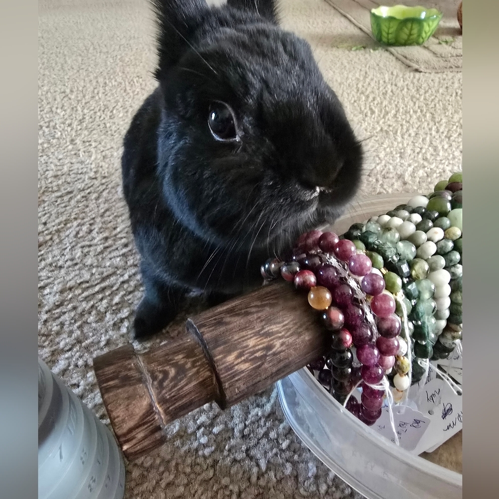 8mm Peacock Tiger Eye Bracelet ON SALE - Picture 8 of 9